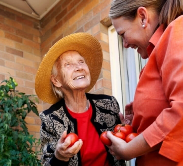 Austock000011514_XSmall Older woman picking tomatoes with younger woman